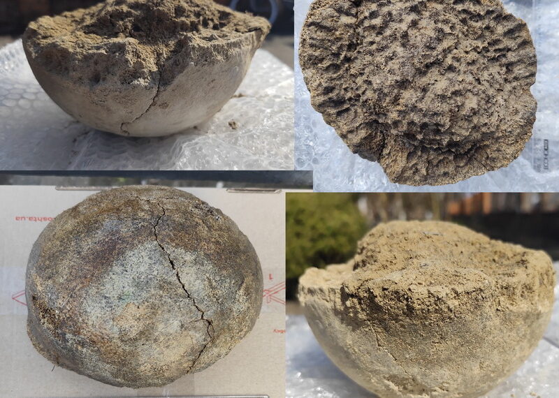 На Київщині: знайдені останки мамута віком 25 тисячоліть.