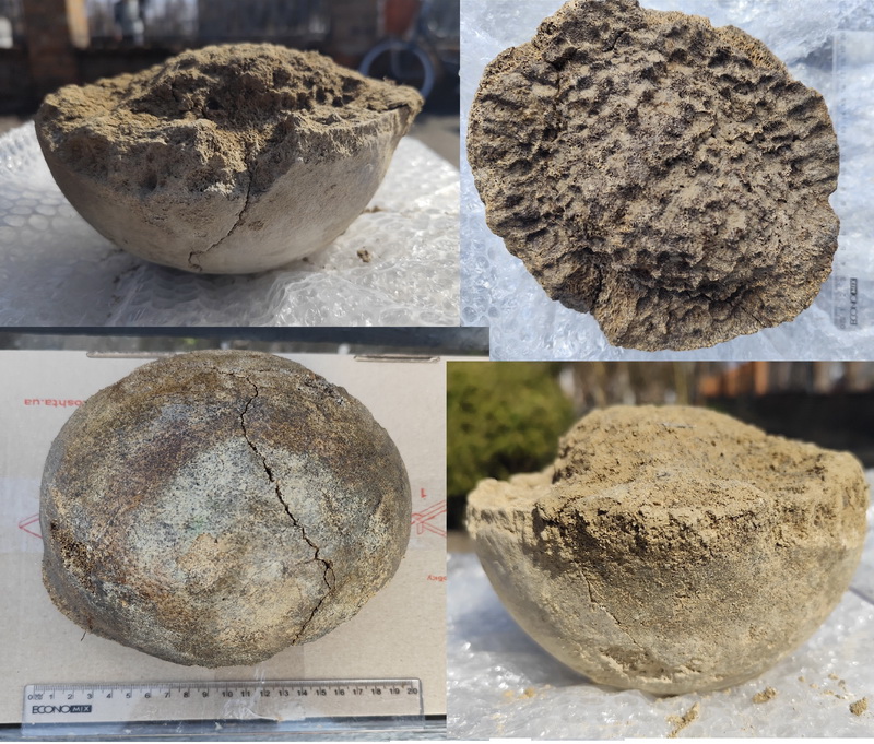 На Київщині військові натрапили на рештки мамонта віком 25 тисяч років