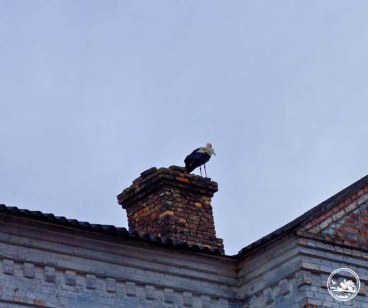 На Київщині