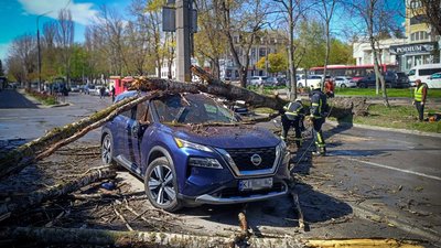 Зламані дерева та відсутність світла: буревій наробив лиха в Київській області.