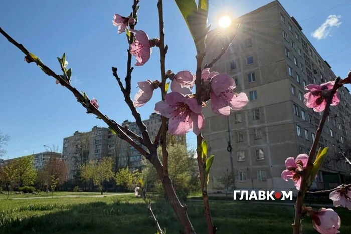 Київ: Жовтий рівень загрози через прийдешні холоди.