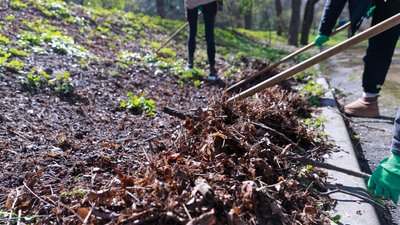 Київський суботник: місця та час спільного прибирання