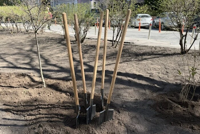 У Печерському районі на місці демонтованих МАФів з’явилася зелена зона (фото)