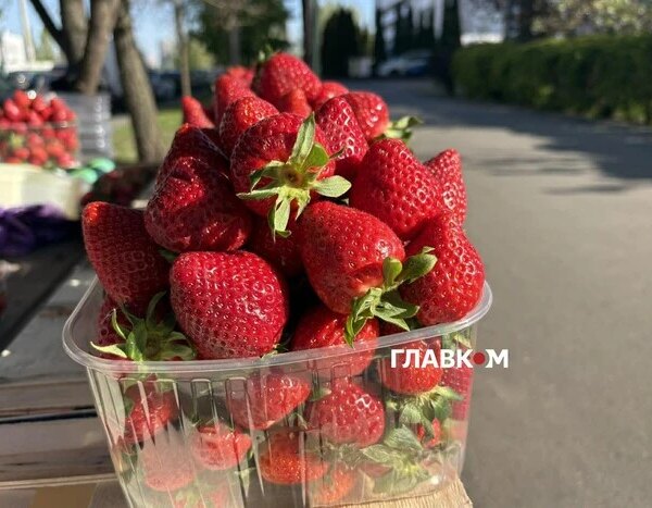 На київських ринках дебютувала закарпатська суниця: ціна за кілограм першого врожаю