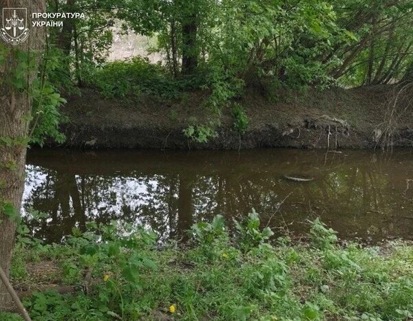 Київська громада повернула через суд ділянку біля Нивки, виділену під будівництво.