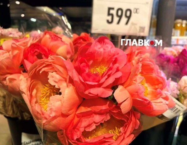 Ціни на півонії в Києві: вартість букета та популярні сорти
