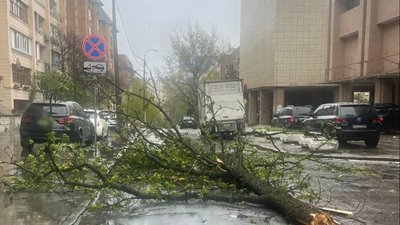 Головна 9 У Києві й регіоні прогнозують потужні вітровії.