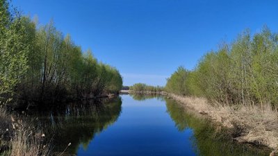 Прохолодний квітень: огляд погоди.