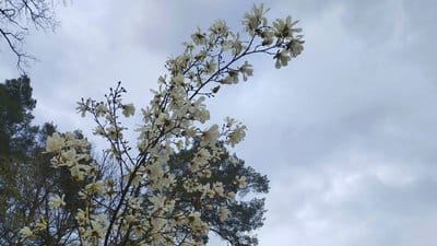 Прогноз про приморозки: яка очікується погода в Києві та регіоні на наступні&hellip;