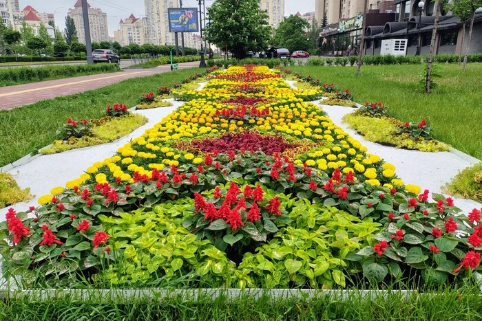 Головна 15 Національні квіткові візерунки: до Вишиванкового дня озеленювачі Києва оформили особливі квітники