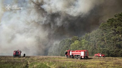 Вогняну стихію стримано: на Київщині приборкують велику лісову пожежу