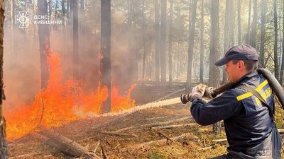 У Чорнобильскій зоні загасили масштабну лісову пожежу, яка вирувала кілька днів