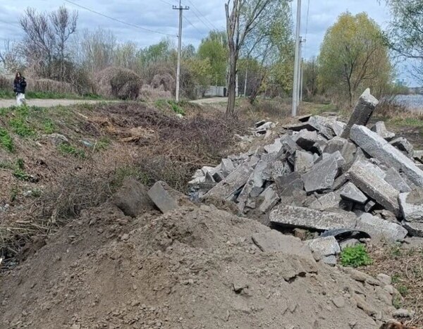 У Києві: варварське вирубування дерев у заповіднику «Озеро Заплавне» (знімки)
