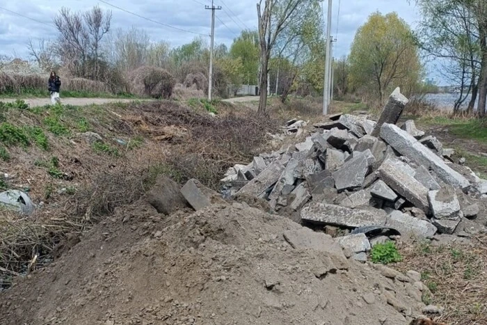 У Києві виявлено масове нищення дерев у заказнику «Озеро Заплавне» (фото)