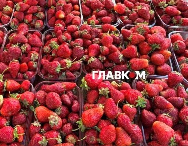 У столиці у вихідні дні, 20-21 травня, пройдуть фермерські ринки (місця проведення)