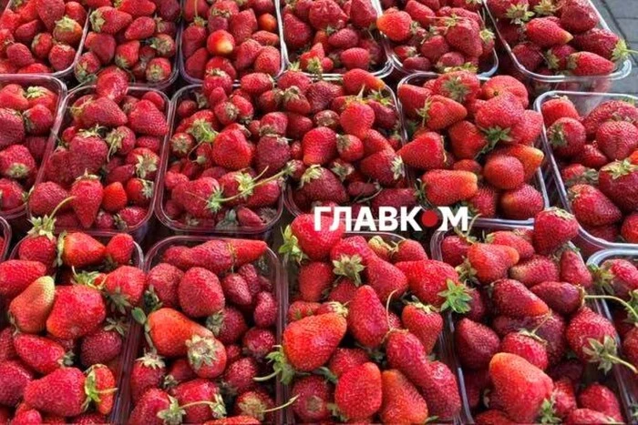 У Києві на вихідних 20-21 травня відбудуться продовольчі ярмарки (адреси)
