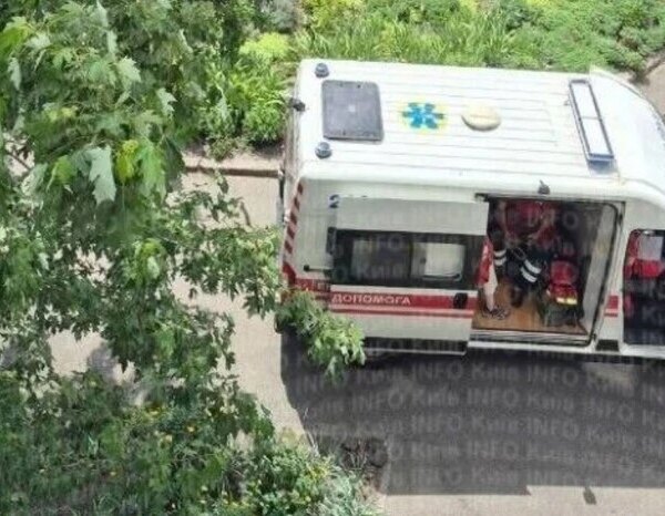Бійцівський пес атакував перехожу в Деснянському районі столиці.