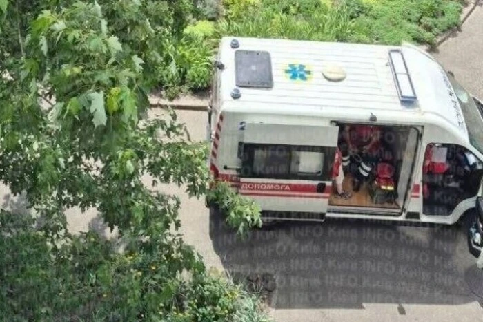 Бійцівський пес атакував перехожу в Деснянському районі столиці. 3
