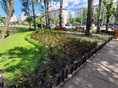 У столиці створюють “кишенькові” сквери: як вони виглядають та де вже з’явилися