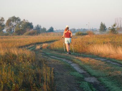 Вищий Суд допустив спорудження житлового комплексу на землі “Екопарку Осокорки”: громадські діячі&hellip;