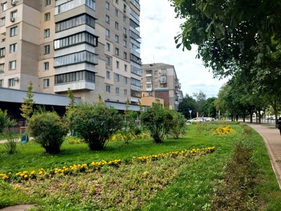 У Києві облаштовують "кишенькові" сквери: як вони виглядають і де вже з'явилися