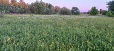 Вищий Суд дозволив будівництво ЖК на території 