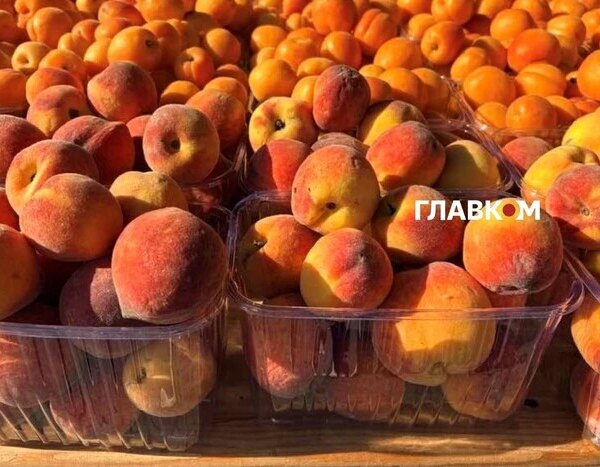 У столиці 27-28 червня пройдуть сільськогосподарські ринки (місця проведення)