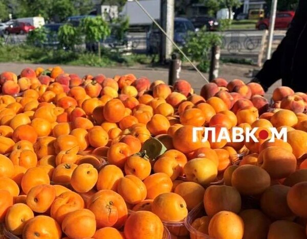 Дешевше за полуницю: огляд вартості ранніх персиків та абрикосів у Києві