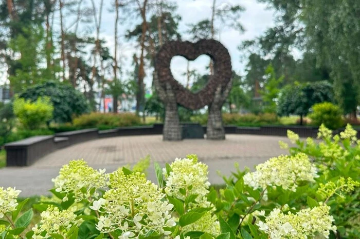 Головна 9 Цвітіння гортензій у столиці: де побачити 100-метрову алею та моносади (список місць)