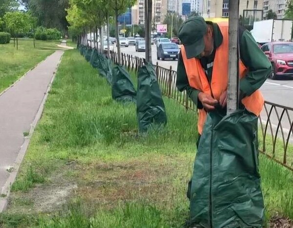 У столиці для зволоження дерев змонтовано більше шести тисяч спеціальних мішків: механізм дії