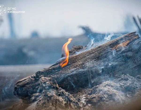На Київщині та в столиці попереджено про високий ризик виникнення пожеж.