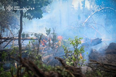 Усі осередки загоряння у Чорнобильській зоні вдалося локалізувати.