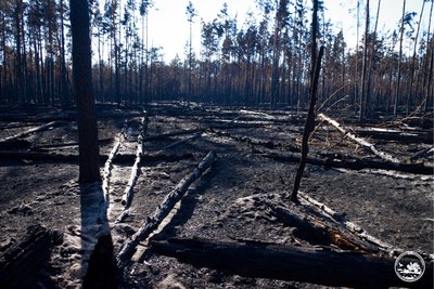 Всі осередки пожежі в Чорнобильській зоні локалізували