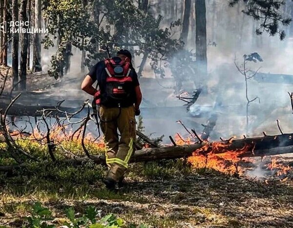 Нове задимлення зафіксовано у Чорнобильській зоні: пожежники виявили (фото)