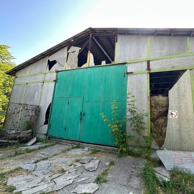 Головна 20 У зоопарку є пошкодження через російську атаку. Який стан у тварин?