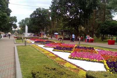 Мільйони на парки та сквери. Куди Київ вкладає найбільше бюджетних коштів