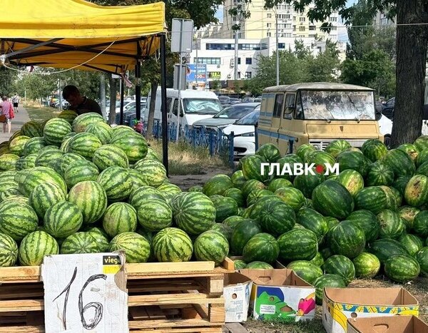 Сезон в розпалі: вартість кавунів та динь на ринку столиці