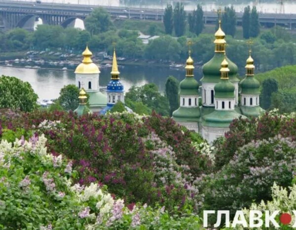 Генпрокуратура узгодила висновки аудиторів стосовно загроз забудови ботсаду Гришка