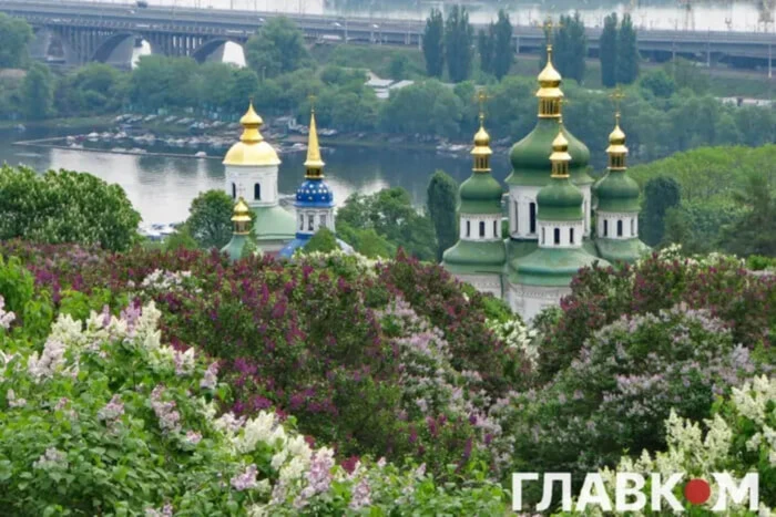 Генпрокуратура узгодила висновки аудиторів стосовно загроз забудови ботсаду Гришка 1 Генпрокуратура узгодила висновки аудиторів стосовно загроз забудови ботсаду Гришка 1