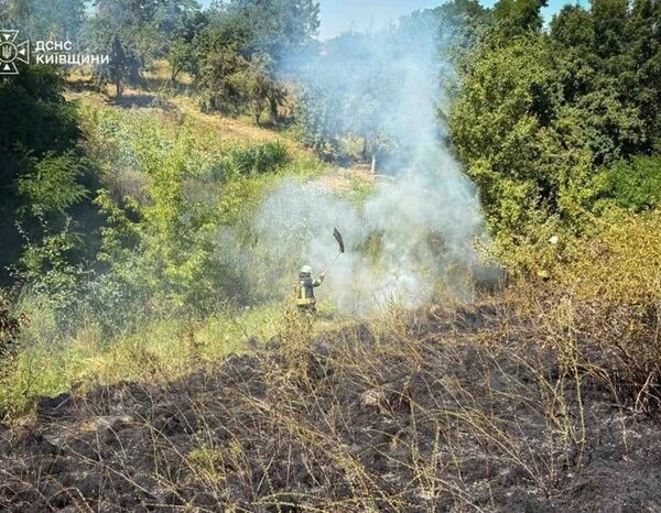 На Київщині та в столиці оголосили високий рівень пожежної небезпеки.