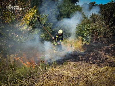 На Київщині вирують пожежі через спеку та посуху: за добу сталося понад 30 займань в екосистемах
