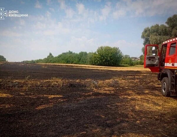 У Києві та на Київщині встановлено найвищий ступінь пожежної небезпеки