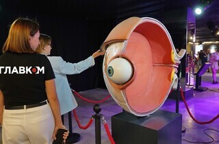 «Людське тіло». Інтерактивна виставка з розмахом розпочала роботу в Києві (фото) 31