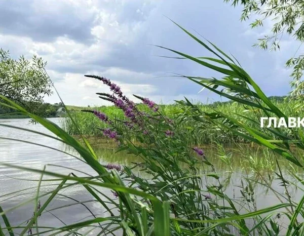 На Київ та регіон наближається гроза