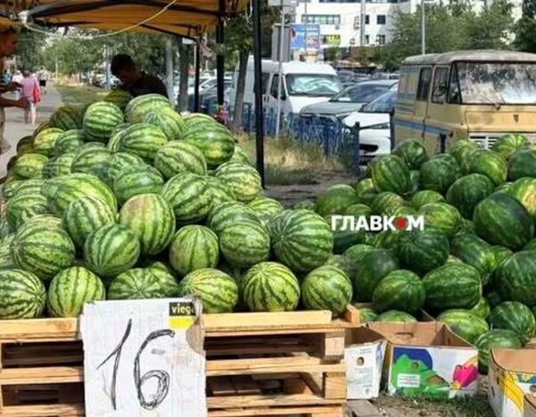 Продуктові ярмарки в Києві 22-23 серпня: де будуть проходити
