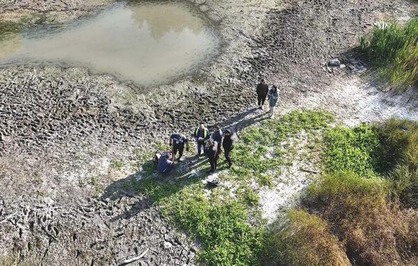 «Минулі спроби не принесли успіху»: у Києві створюють новий план для порятунку озера Синє