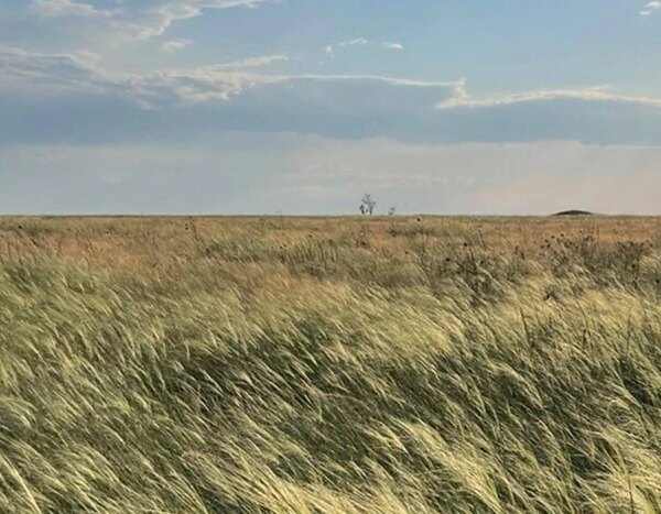 «Справжній степ»: у Києві відкриється експозиція в темряві