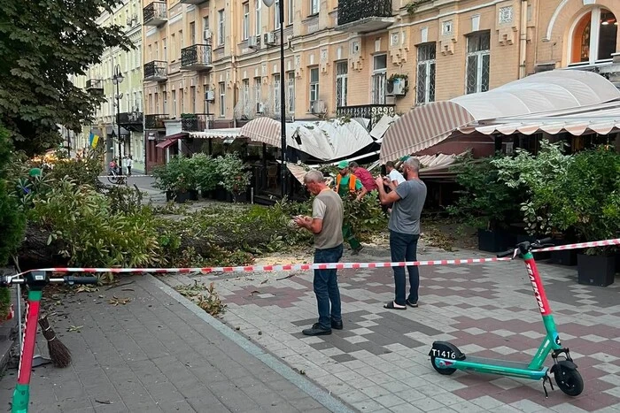 На терасу відомого ресторану в центрі Києва впав каштан (фото)
