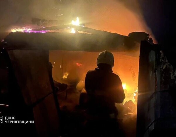 Ураження 41 об’єкта. Повітряне командування надало подробиці масштабного нападу Росії