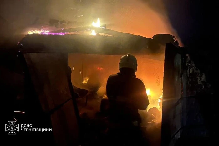 Ураження 41 об'єкта. Повітряне командування надало подробиці масштабного нападу Росії 34 Ураження 41 об'єкта. Повітряне командування надало подробиці масштабного нападу Росії 14